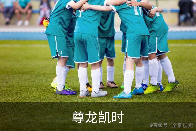 尊龙凯时公司介绍